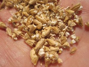 20111010-174043-milled-grain.jpg