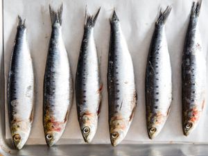 Six fresh, silvery sardines laid neatly next to one another.