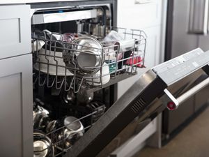 20181023-dishwasher-vicky-wasik