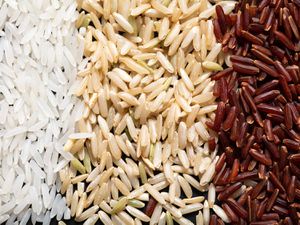 Piles of uncooked white rice, brown rice, and red rice.