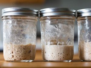 Bubbly sourdough starters in glass jam jars