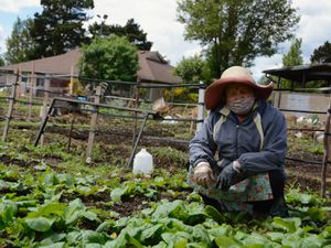 20200604-community-garden-covid-tove-danovich.jpg-7