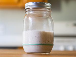 The levain used for sourdough bread rises in a glass jar, about triple its starting volume.