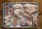 Whole chicken cut into parts. Clockwise from bottom left: Wings, gizzards, heart, oysters with skin flaps, legs, breast halves, rib cage, back and trim, wing tips and neck and tender tendons, tenders, chest cartilage.