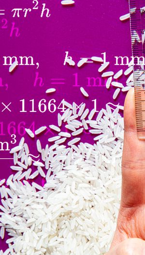 Graphic for measuring knuckle rice