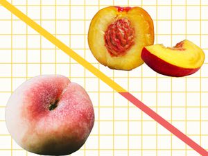 Peaches vs Necatrines