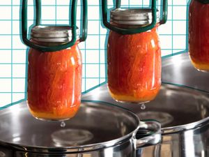 Canned tomatoes being lifted from a pot