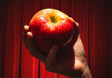 A hand holding a honeycrisp apple to the light