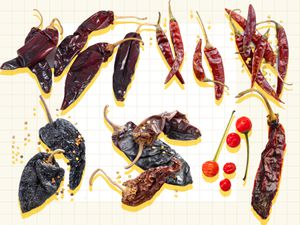 A graphic of different types of Mexican chiles