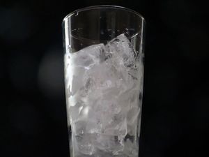 20110504iceprim.jpg