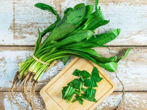 A bundle of culantro with some chopped culantro on a small wood cutting board. From Shutterstock.