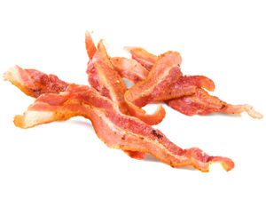 20100319-renderbaconfat.jpg