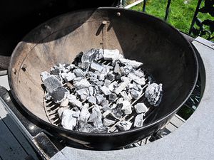 20100425-arraning-the-coals.jpg