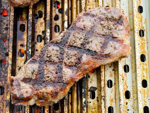 20100630-grill-marks-large.jpg