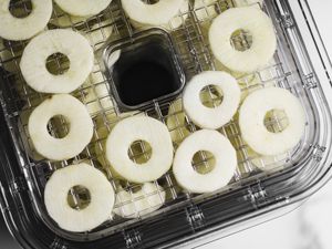 a top-down shot of apple slices in a dehydrator before being dried