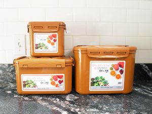 three sizes of fermentation containers on a marble countertop