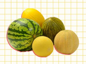 Different types of melons