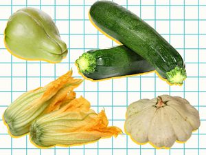 Summer squash