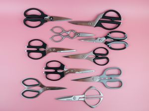 Best kitchen shears displayed on pink surface