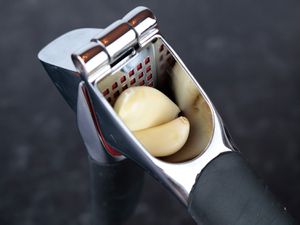 the hopper of a garlic press with two cloves inside of it