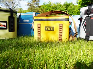 Several soft coolers on a grassy surface