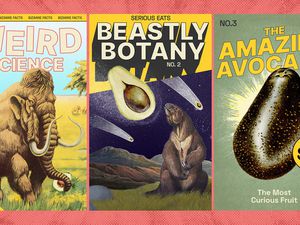 Three magazine covers depicting avocados done in a pulp sci-fi fashion